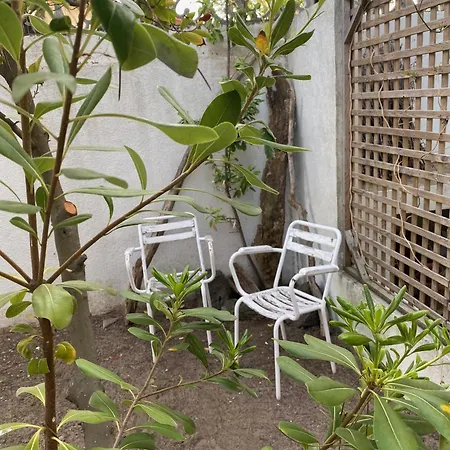 Typique Ле-Гро-д'Агд